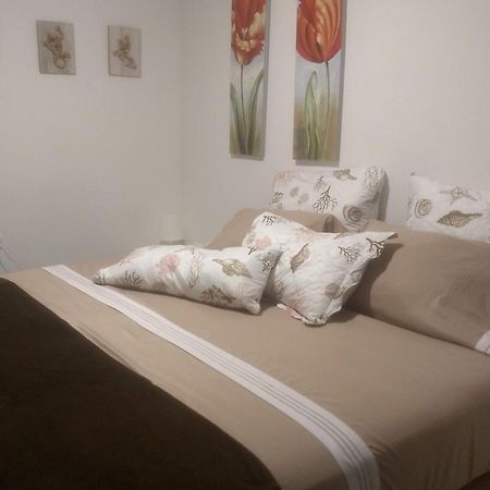 Hibiscus House Hotel San Andrés Eksteriør billede